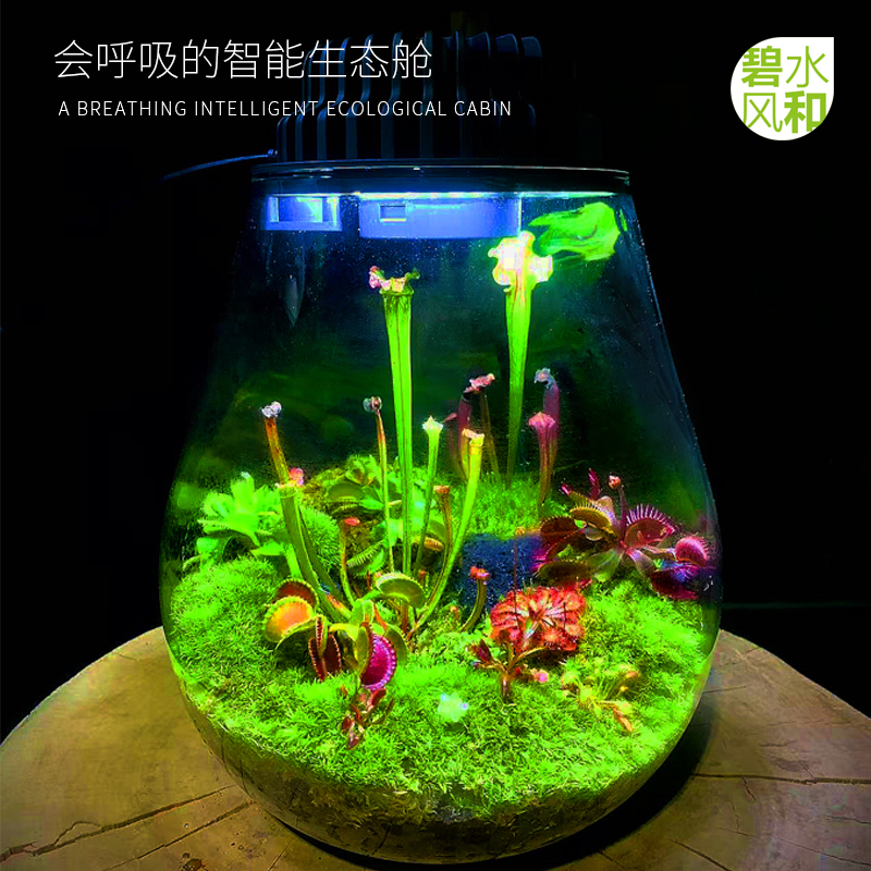 碧水风和云雾系列智能生态舱